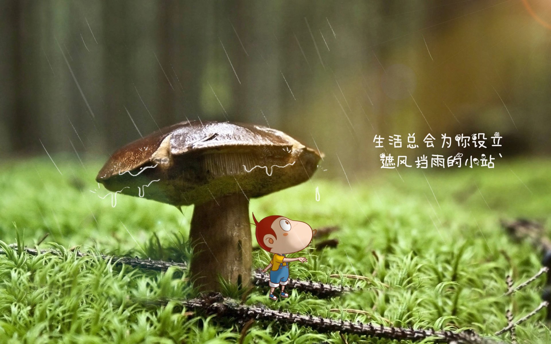 “法甲积分榜趋于明朗，惊险不断”，法甲积分榜最新积分榜排名