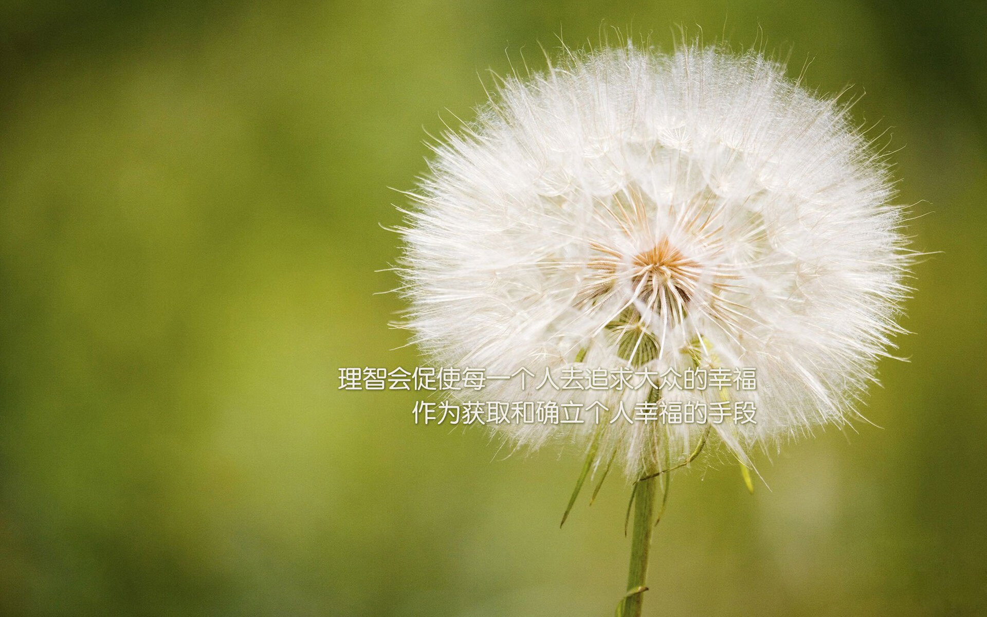 开云中国-史上最“燃”关键三分：哪一个瞬间让现场沸腾？