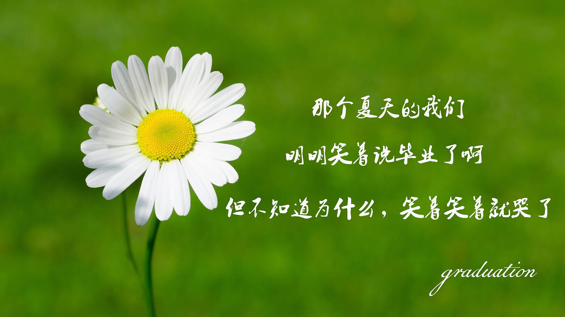开云体育APP下载-主力球员绝杀瞬间，锁定胜利之门，球星绝杀