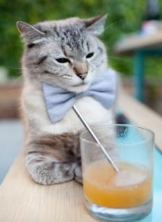 篮球运动员体能恢复技术及应用研究,篮球运动员体能训练