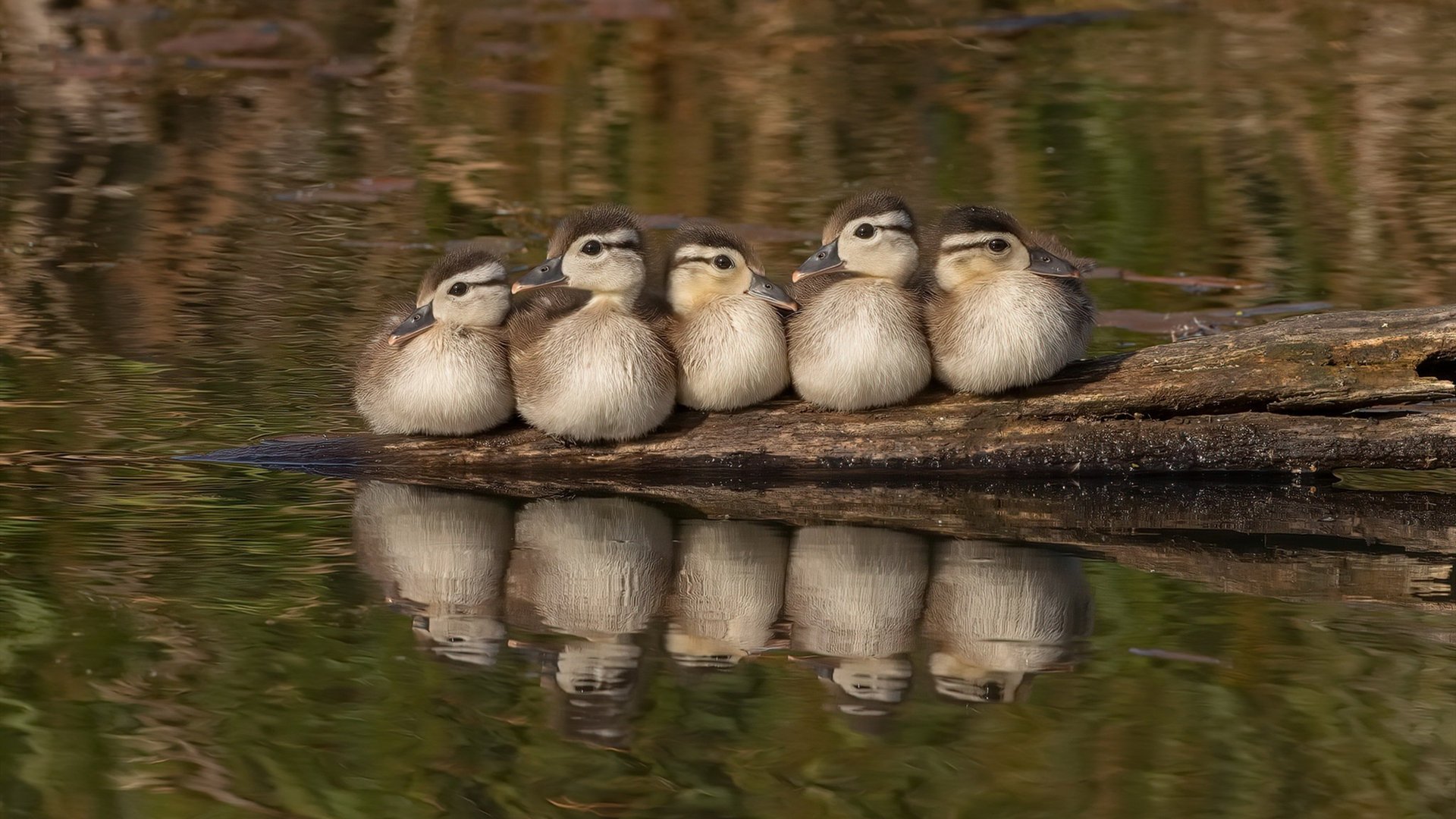 kaiyun中国官方网站-“天府新区沙滩合球赛：突破传统的全新竞技体验”