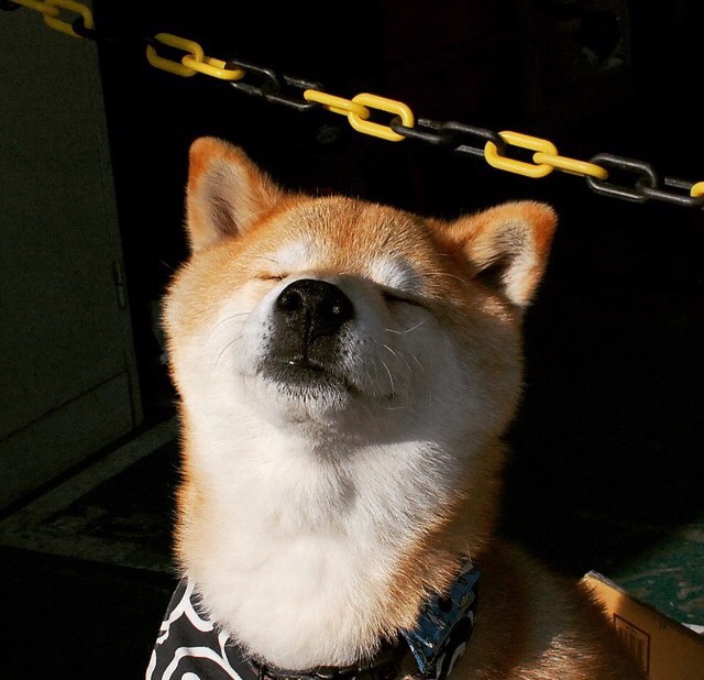 中小学运动会多地同步举行展现青春风采,中小学的运动会在什么时候