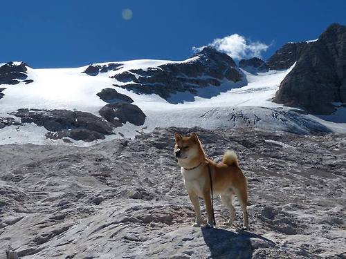 kaiyun体育app-中国香港队赛制研究：如何在团体赛中保持优势与战术灵活性，香港队再添一枚金牌