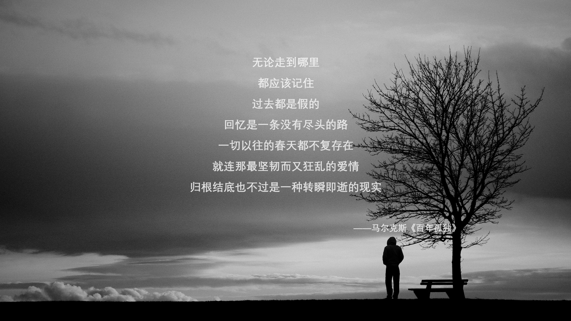 体育新闻中心发布体育赛事智能数据分析平台,体育新闻的网站