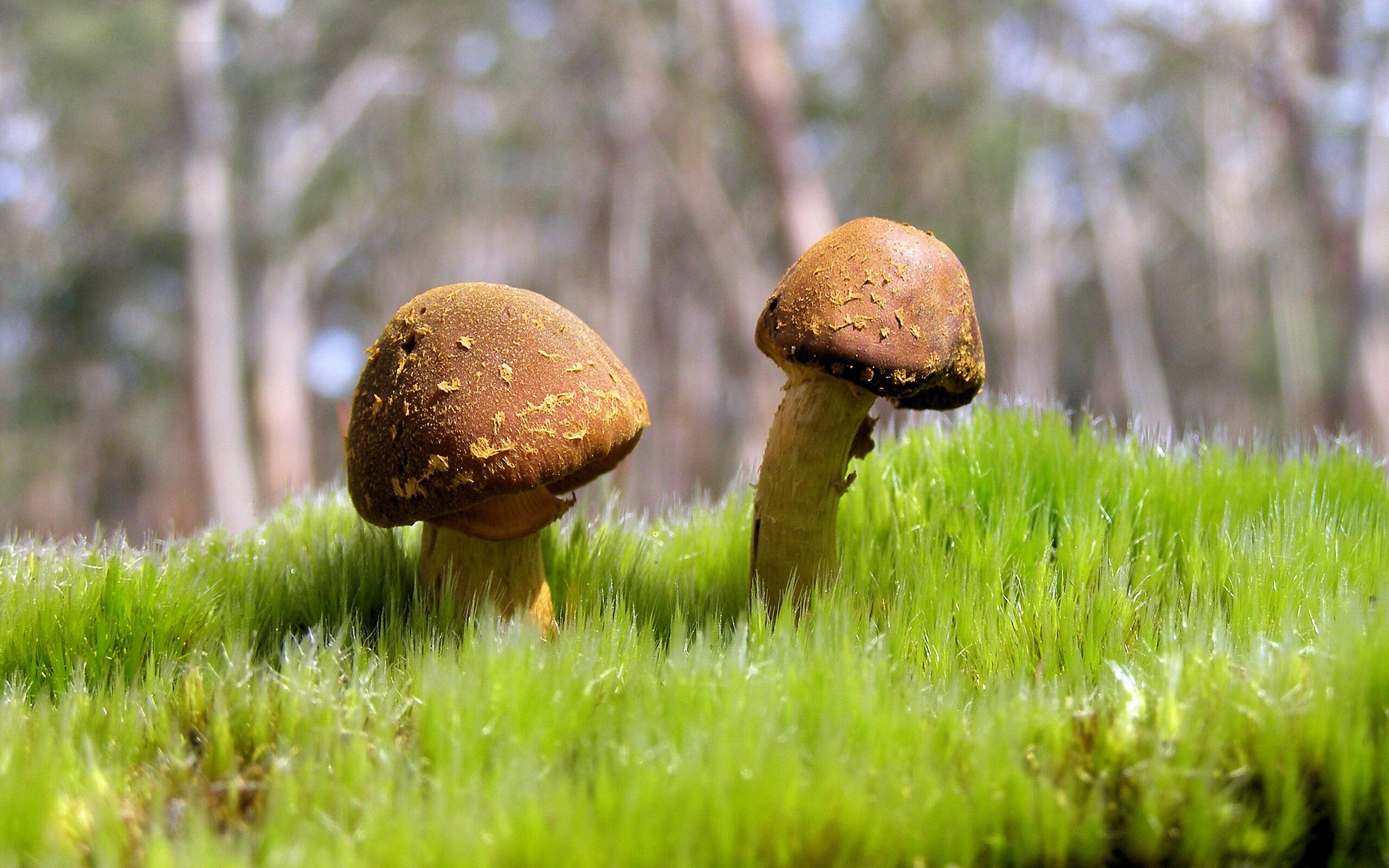 开云网页版-冬奥冠军武大靖出任青少年滑冰推广大使，冬奥运动员武大靖