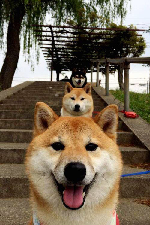 游泳运动员心理辅导机制初见成效，游泳运动员心理辅导机制初见成效怎么写