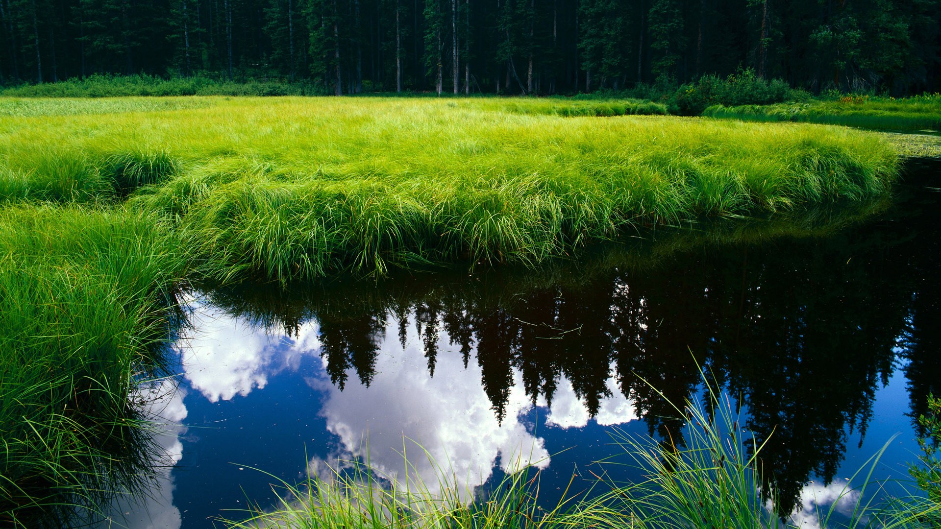 开云平台-田径跨栏国家队选手冬训进入节奏训练阶段，田径跨栏运动员