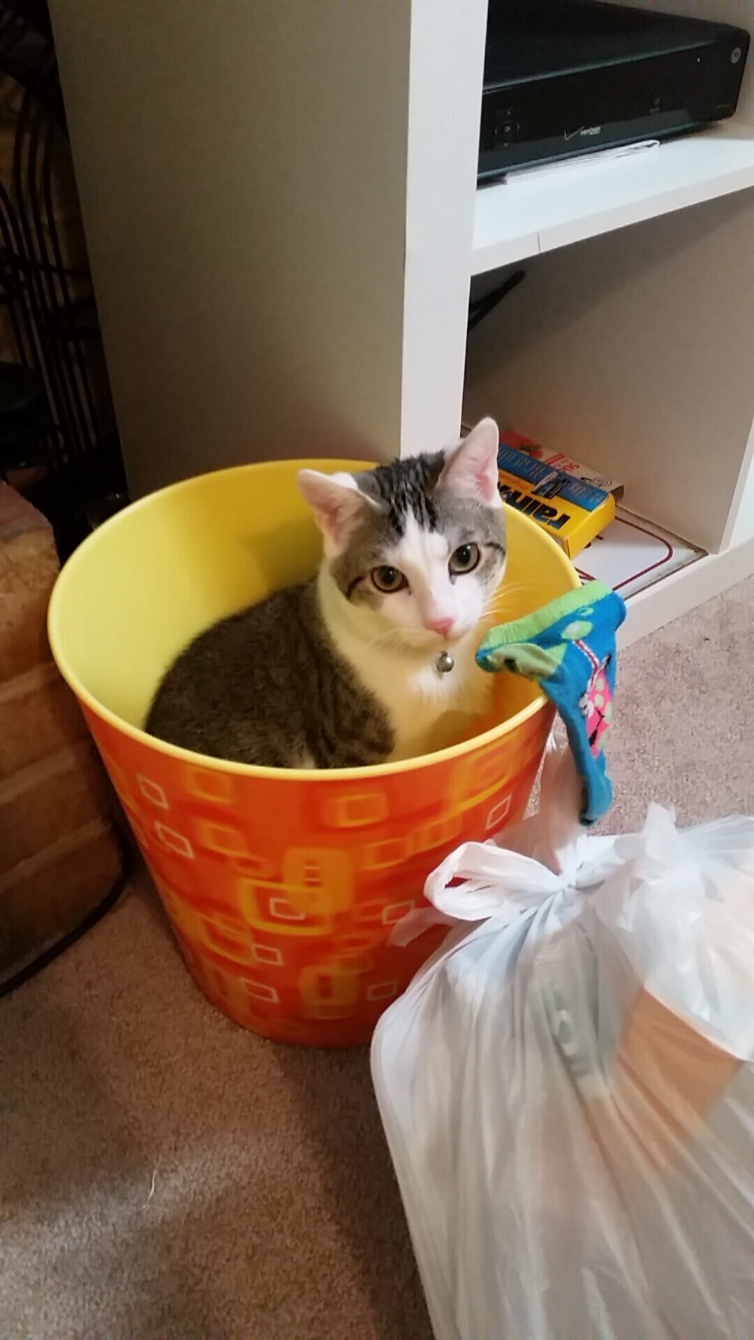 开云官网-勇士三巨头状态稳定连胜不停，勇士3巨头分别是谁