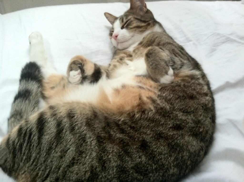 哈登关键挡拆助力快船进攻节奏更快，哈登关键比赛