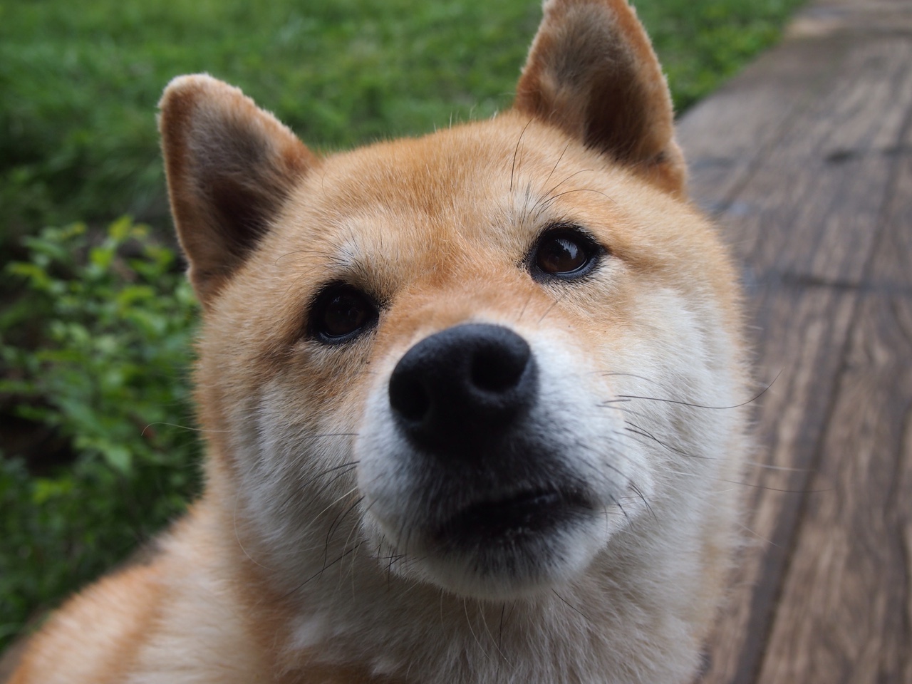 女子篮球推广专项投篮训练提高命中率,女子投篮教学