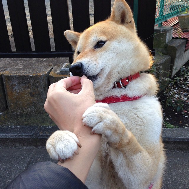 雷霆后卫更新伤情表示恢复良好无需担心，雷霆队后卫